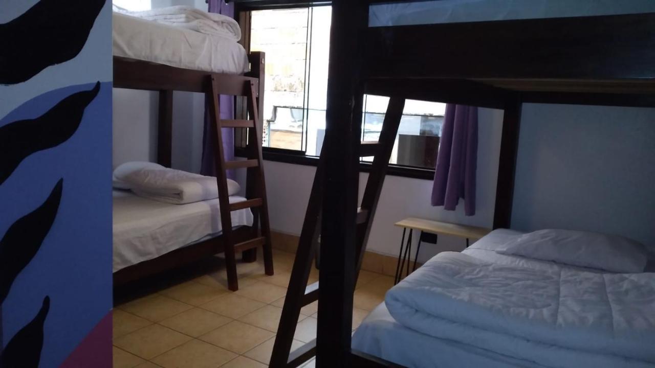 Supertramp Hostel Machupicchu 외부 사진